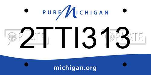 2TTI313 Michigan License Plate