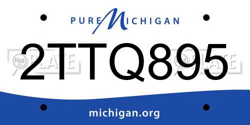 2TTQ895 Michigan License Plate