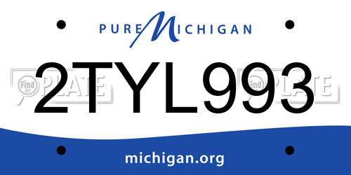 2TYL993 Michigan License Plate
