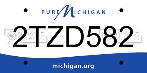 2TZD582 Michigan License Plate