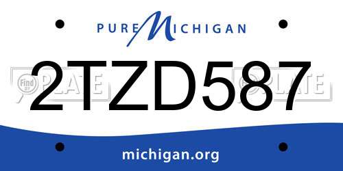 2TZD587 Michigan License Plate
