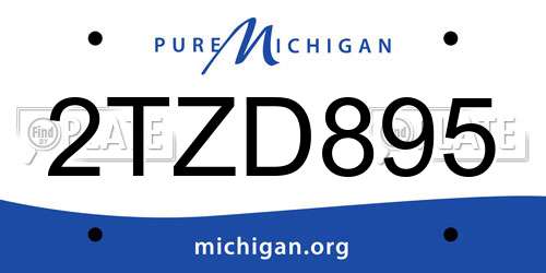2TZD895 Michigan License Plate