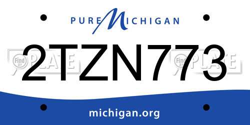 2TZN773 Michigan License Plate