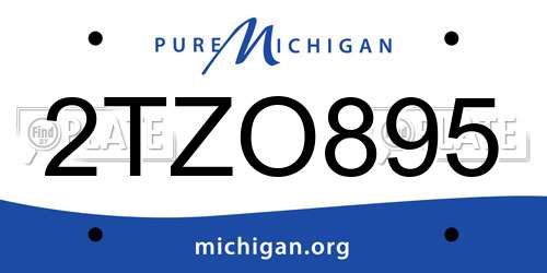 2TZO895 Michigan License Plate