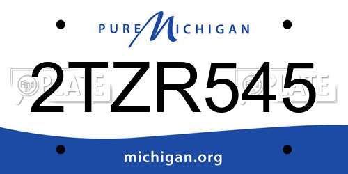 2TZR545 Michigan License Plate