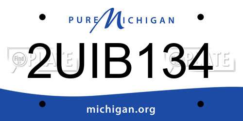 2UIB134 Michigan License Plate