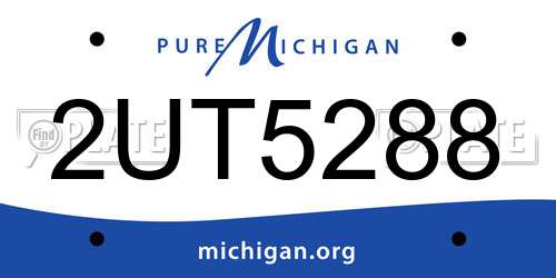 2UT5288 Michigan License Plate