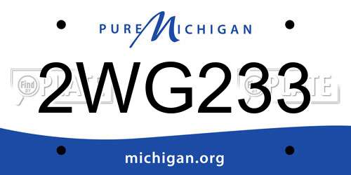 2WG233 Michigan License Plate