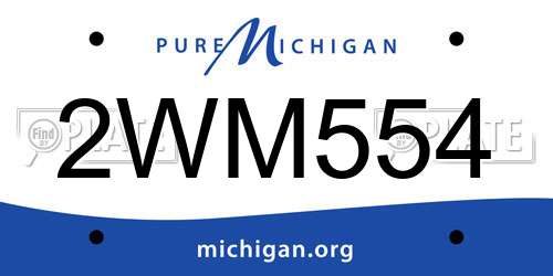 2WM554 Michigan License Plate
