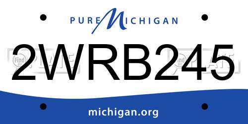 2WRB245 Michigan License Plate