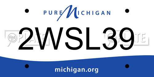 2WSL39 Michigan License Plate