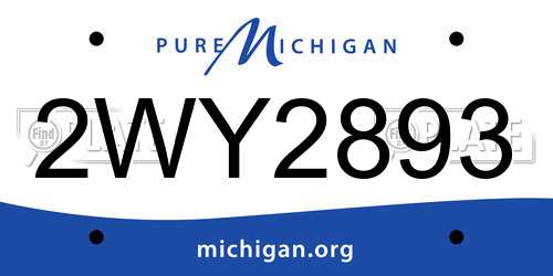 2WY2893 Michigan License Plate