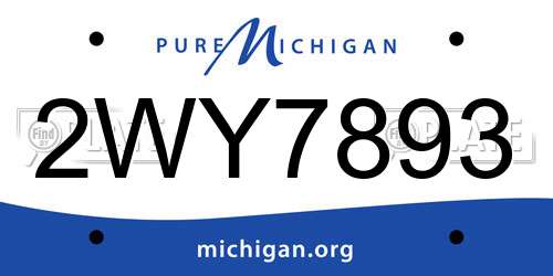 2WY7893 Michigan License Plate