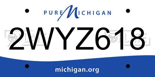 2WYZ618 Michigan License Plate