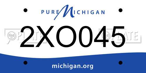 2XO045 Michigan License Plate