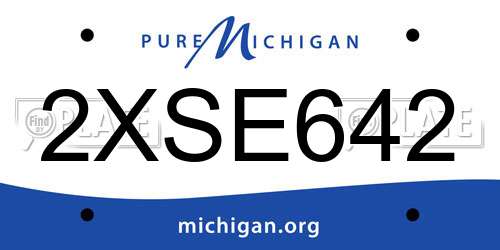 2XSE642 Michigan License Plate
