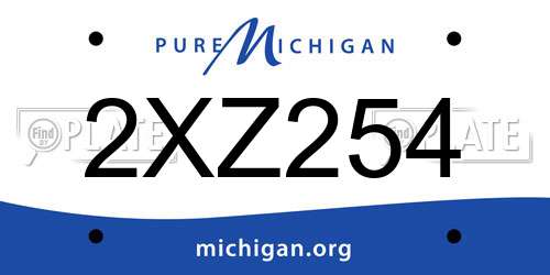 2XZ254 Michigan License Plate