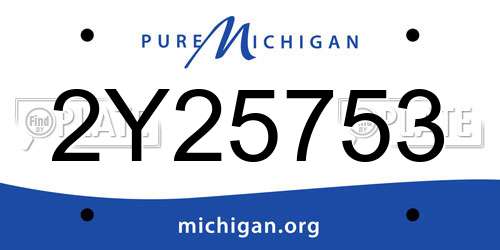 2Y25753 Michigan License Plate