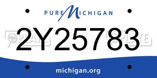 2Y25783 Michigan License Plate