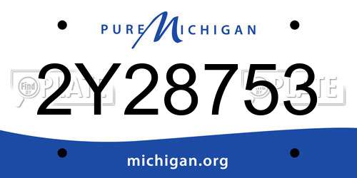 2Y28753 Michigan License Plate
