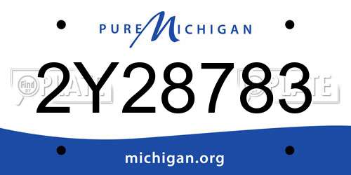 2Y28783 Michigan License Plate