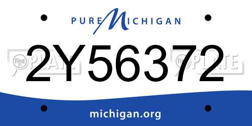 2Y56372 Michigan License Plate