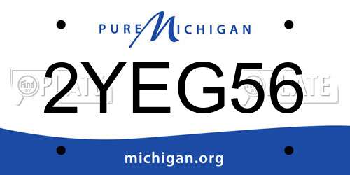 2YEG56 Michigan License Plate