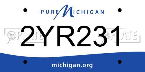2YR231 Michigan License Plate