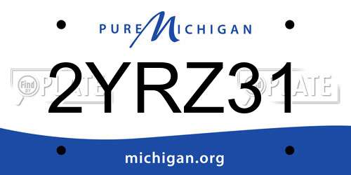 2YRZ31 Michigan License Plate