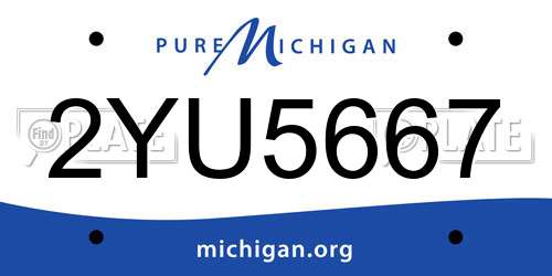 2YU5667 Michigan License Plate