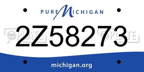 2Z58273 Michigan License Plate