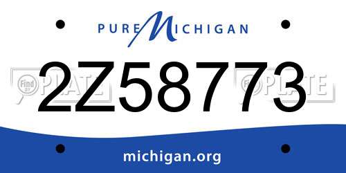 2Z58773 Michigan License Plate