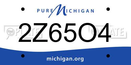2Z65O4 Michigan License Plate