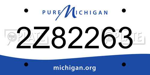 2Z82263 Michigan License Plate