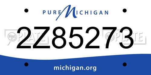 2Z85273 Michigan License Plate