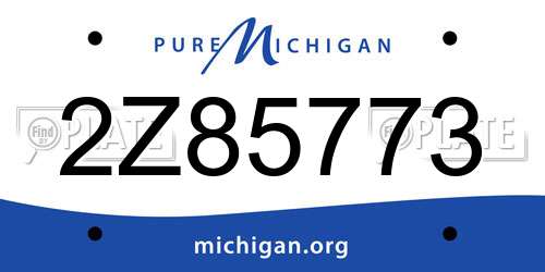 2Z85773 Michigan License Plate