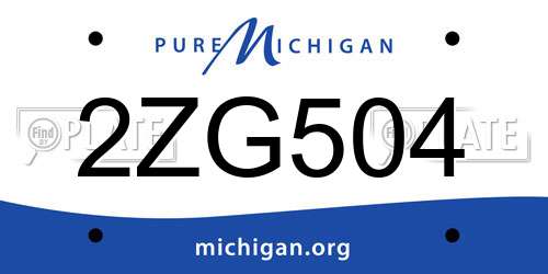 2ZG504 Michigan License Plate