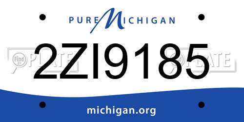 2ZI9185 Michigan License Plate