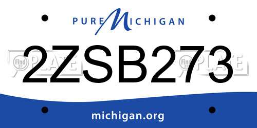 2ZSB273 Michigan License Plate