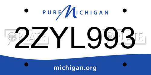 2ZYL993 Michigan License Plate