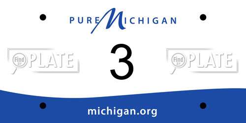 3 Michigan License Plate