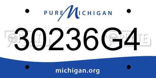 30236G4 Michigan License Plate