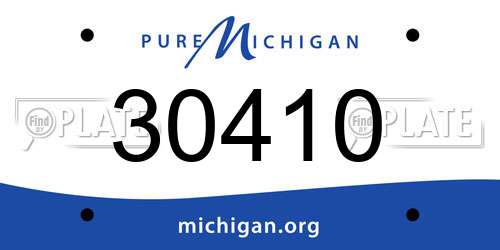 30410 Michigan License Plate