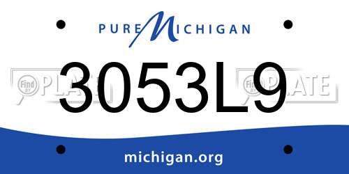 3053L9 Michigan License Plate
