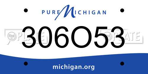 306O53 Michigan License Plate