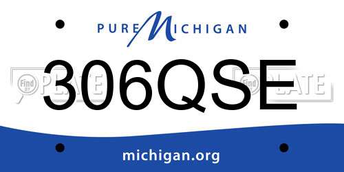 306QSE Michigan License Plate