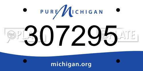 307295 Michigan License Plate