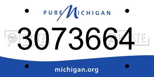 3073664 Michigan License Plate