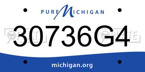 30736G4 Michigan License Plate