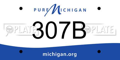 307B Michigan License Plate